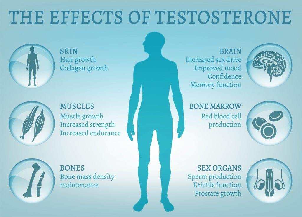 Testosterone production with age